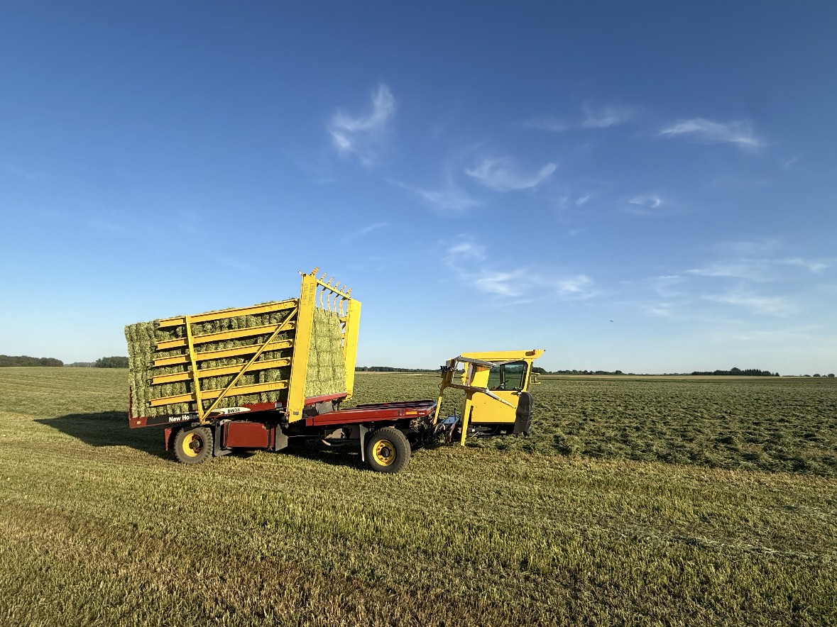 Square hay bales stacked on a wagon in a freshly cut field