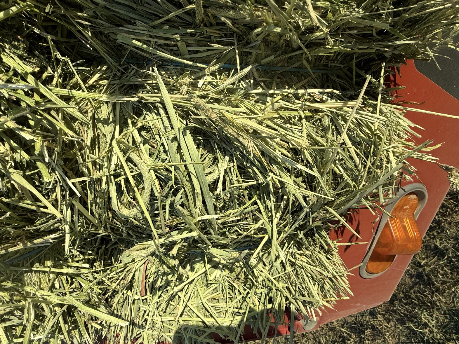 Close up of a freshly baled square bale of timothy alfalfa hay